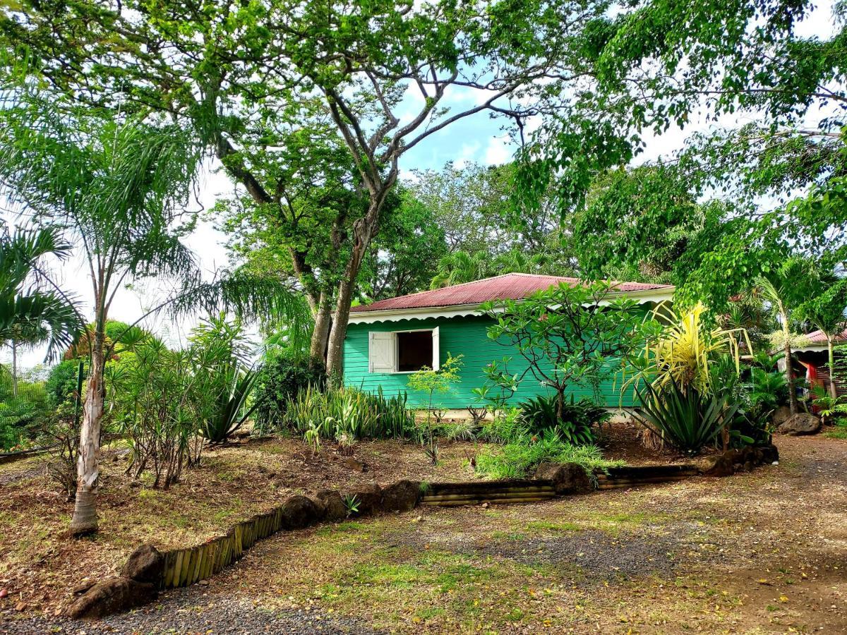 Bungalow Du Jardin Botanique De Десе Екстериор снимка