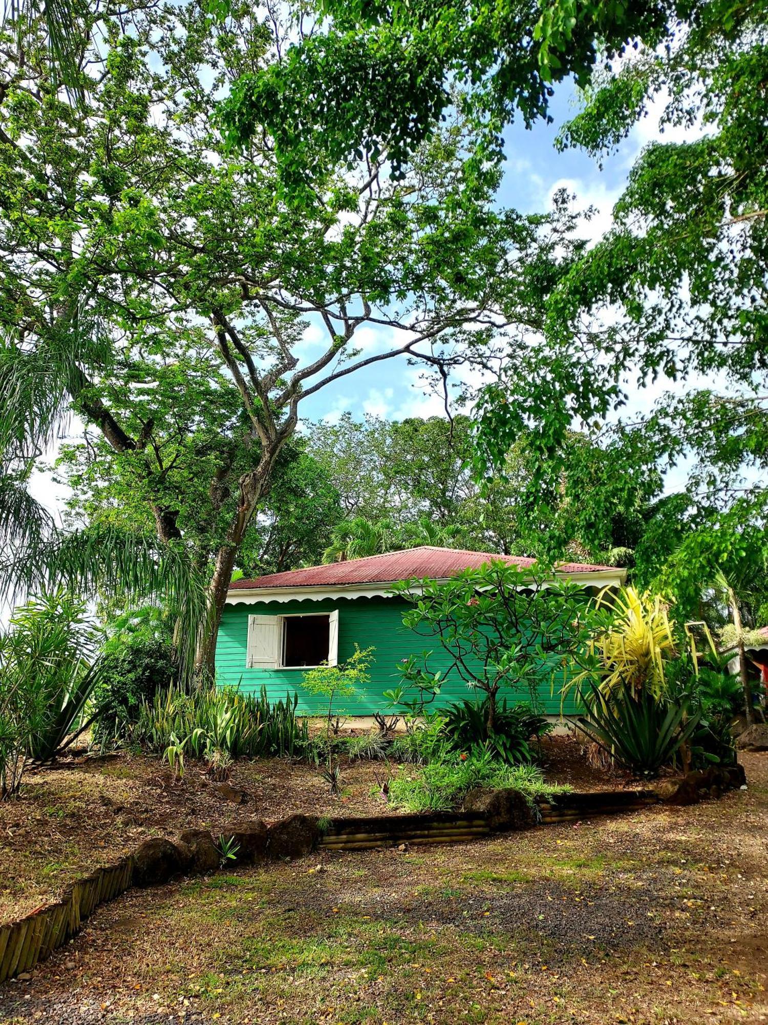 Bungalow Du Jardin Botanique De Десе Стая снимка